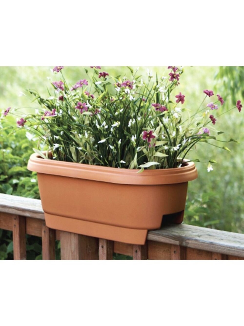 Bloem Terra Cotta Oval Deck Rail Planter 24" Elevated Garden Box (Quantity 3) - Picture 4 of 16